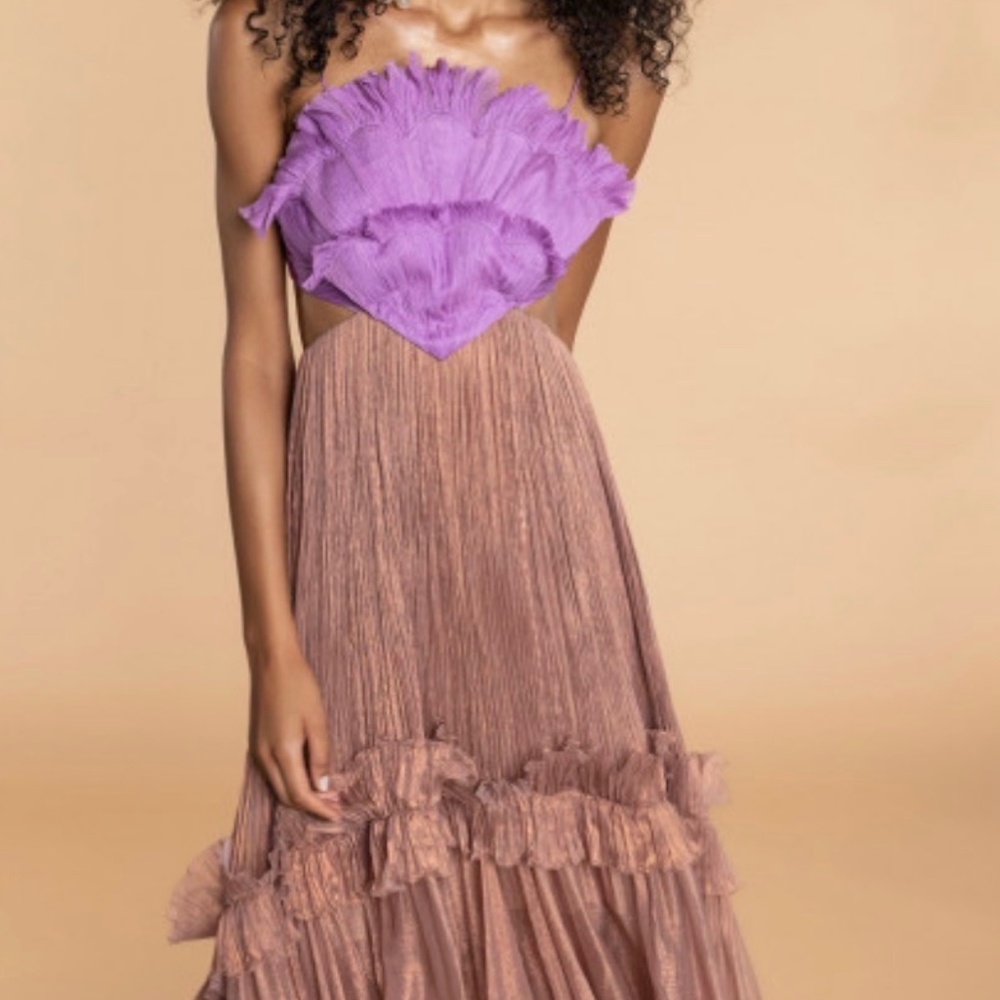 Maria Lucia Hohan Linette Dress